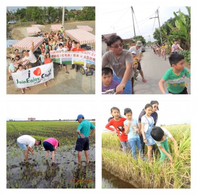 Cycling & Experience paddy field activities with your family (whatsapp Tour Agent Mr Kok sang 016 335 9200 more details)