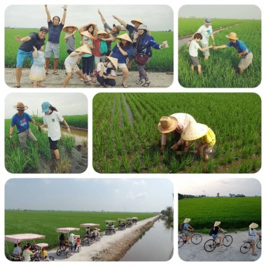 Cycling & Experience paddy field activities  with your family (whatsapp Tour Agent Mr Kok sang  016 335 9200  more details) 